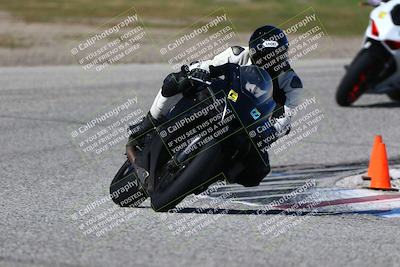media/Mar-23-2025-TrackDaz (Sun) [[88a7749186]]/C Group/240pm (Cotton Corners)/